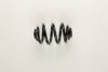 BMW 1132065 Coil Spring